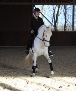 Furia & Madelief appuyement